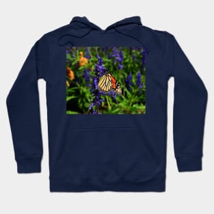 Butterfly of hope Hoodie